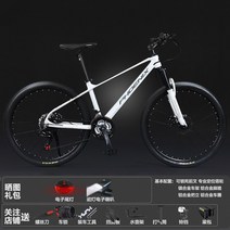 자전거 피닉스 마그네슘 합금 산악 남성과 여성 26 인치 오프로드 피닉스 오일 디스크, 27.5인치, xt600 모델 마그네슘 합금 청사진 키트 눈부신, 24단