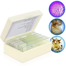 혼합 곤충 안테나 동물 혈액 식물 세포 기본 준비 현미경 Pprepared 슬라이드, 08 Frog embryo