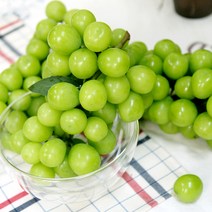 고당도 샤인머스켓, 샤인머스켓1.3kg, 1개