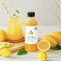 달콤공장 수제청 골드레몬청, 500ml