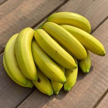산지직송 국산 유기농 바나나 1.5kg 후숙과일 친환경 무방부제, 단품