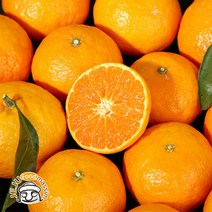 블루제주 서귀포 귤로향 4kg (중과 20-30과 실속포장 실중량), 단품