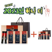 쇼핑백포함 홍삼선물세트 스틱형 어른선물 추천 사포닌 명절감사선물