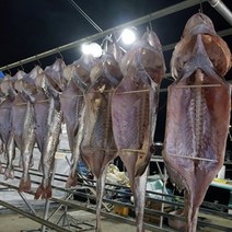 거제 외포 반건조대구 소중대 특품, 건대구[소], 모양유지손질