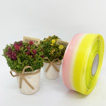 포장 리본 끈 제이제이리본 이색오간디36mm 18컬러 (길이 45M ) 공단리본, TO7, 36mm