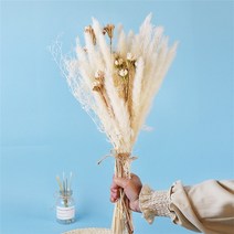 팜파스 억새풀 핑크뮬리 대형 그라스 갈대 인테리어소품 조화 꽃 30pcs 말린 잔디 프리미엄 드라이 부케 gypsophile boho 홈 장식 웨딩 장식 배열에 대 한 198, 30개