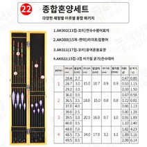 중층내림찌 낚시 민물찌 세트 케이스 낚시용품, B, 1개