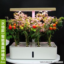 가정용 식물재배기 식물 재배기 스마트팜 미니 수경재배기 수직농장 수경 채소, Z202 수경재배기 미백(국내전용)