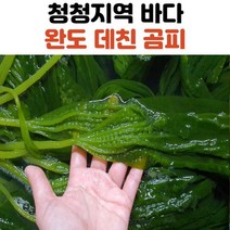 자연산 완도 곰피 미역 1kg 2kg, 곰피미역_2kg