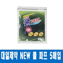대일제약 뉴쿨파프 파스 타박상 근육통 붙이는 new쿨파프 10매입, 1매