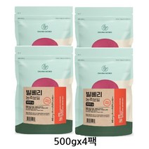CHARM GOODS 빌베리 농축분말 500g/팩 눈건강도움 분말 빌베리 75% (오스트리아) /국내제조, 4팩, 빌베리 농축분말500g