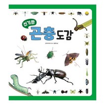 밀크북 신기한 곤충 도감, 도서, 9791196844875