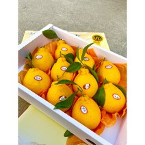 [프리미엄] 고당도 제주 써니트 한라봉 2.5kg 10kg 명품 선물, 프리미엄, 4.5kg
