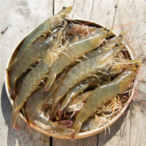 언니상점 국내산 유기농 흰다리새우 무항생제 인증 왕새우, 1kg, 급냉 흰다리새우 28미