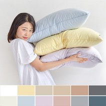 아망떼 뉴데이즈 세미마이크로 겹베개커버40x60