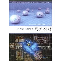 문화를 초월하는 목회상담, 그리심