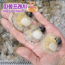남해안 청정해역 통영 당일조업 산지직송 생물 명품 홍가리비 황금가리비, 홍 가리비 2kg (60-50미)