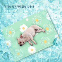 여름 애완 동물 아이스 매트 개 고양이 잠자는 매트, 선인장 라운드