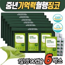식약처 인증 뇌건강영양제 징코 메모리 복합 기능성 은행잎추출물 플라보놀배당체 뇌에좋은 기억력 혈행 개선 GINKO 노인 60대 70대 80대 발끝 손가락 팔 다리 저림 케어