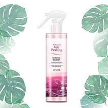 세니떼 퍼퓸드 바디필링 330ml 때 필링 스프레이 스크럽, 1개 [ 사은품 증정]