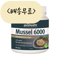 굿헬스 초록입홍합 6000 300개입, 1개, 300개