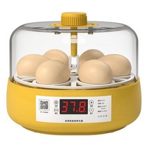계란부화기 병아리 인큐베이터 물 앵무새 자동 부화, 6 반자동(과학적 교육적 계몽)