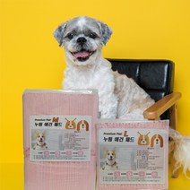 누림 애견패드 중형 100매 2팩 대형 25매 4팩 2가지 색상 친환경 배변봉투, 친환경 배변봉투 10롤+실리콘 케이스, 배변봉투 10롤+실리콘케이스