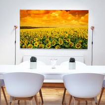 아란아트 복을 부르는 해바라기그림 15종 캔버스액자 실내인테리어, 08 만사여의 해바라기