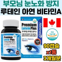 눈 건강 루테인 정제어유 빌베리 블루베리 대두레시틴 포도씨 영양제 아연 면역 비타민 a e 항산화 황반 망막 밀도 유지 어두운곳시각적응 유해산소 제거 부모님 학생 노인 눈시릴때