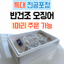 국내산 반건조오징어 피데기 특대 진공포장 170g, 1개