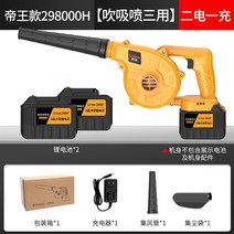 무선 송풍기 세차 충전 청소 차량용, 프리미엄골드298000H+밧데리2