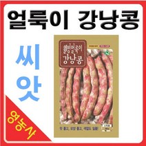 얼룩이강낭콩씨앗 30g- 강낭콩씨앗 강낭콩씨, 필수선택:얼룩이강낭콩