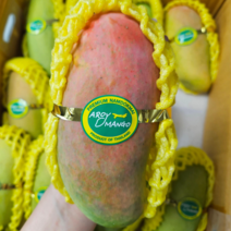 항공직송 골드망고 무지개망고 태국망고 2kg/3kg/5kg 온어프레시, 태국골드망고3kg(5-9과)