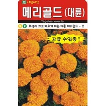 AR 메리골드(대륜) 씨앗 10립, 1개