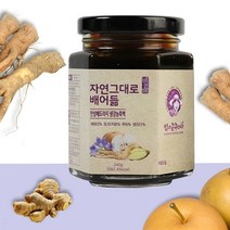 올댓리빙 국내산 배도라지 생강 농축액 240g, 1개