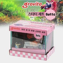 관상용 열대어 베트 수족관세트 관상어세트 어항세트