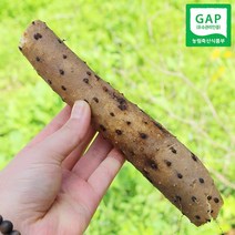 친환경팔도 GAP 인증 안동 장마(중품) 2kg 3kg 5kg, 장마(중품) 3kg