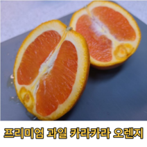 고당도 네이블 발렌시아 오렌지 카라카라 3kg 프리미엄 썬키스트 캘리포니아 미국 오랜지 블러드 자몽 카라오렌지 빨간 orange