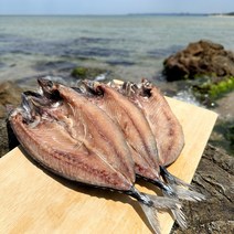 동해안 반건조 고등어 자반 고등어 3미 + 3미 (1.3kg 내외)