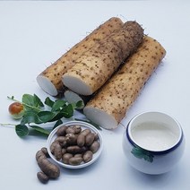 접실 농산 안동 장마, 초실속 장마 4kg, 1개