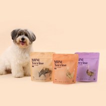 반려소반 바른식사 미니테린 300g (소 닭 오리)