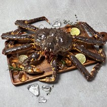 은하수산 살아서 도착하는 레드 활 킹크랩 2.2-2.4kg, 단품