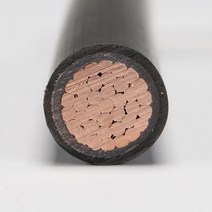 천지몰 오사전선 TFR-CV 300SQ x 1C 1M 국산전선, 1개