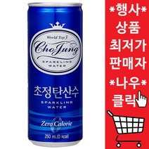 일화 초정리 탄산수캔 맛있는 초정 탄산수 250ml 90캔