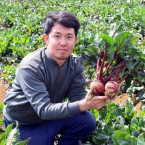 제주 생 레드 비트 제주도 햇 제주산 5kg 10kg 국산, 특 (최상품)