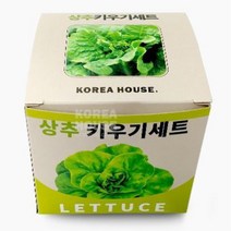 초등학교 유치원 상추키우기 화분세트2P 혼족 씨앗 교실