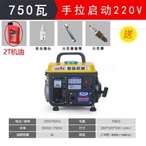 소형발전기 캠핑용발전기 무소음발전기 미니 소형 750w 가솔린 발전기 휴대용 휴대용 220v 가정용 마이크로 야외 소형 발전기, 디럭스 패키지