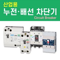 나노전기 (산업용) (사은품) 반드시 설치! 고감도 누전 배선 차단기 두꺼비집 주택 아파트 다세대, 산업용 배선 차단기 (NFB) / 25. NBH-204s/ 200A