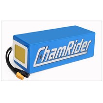 전기자전거 전동 킥보드 배터리 36V 48V 리튬, 48V11.6AH30A Samsung29E