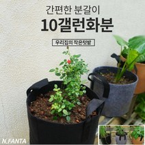 부직포 화분 식물 고구마 키우기 10갤런 40x30 블루베리 감자 고구마 모종 키우기 베란다 텃밭 흙 담기 화분, 1화분10갤런-블랙